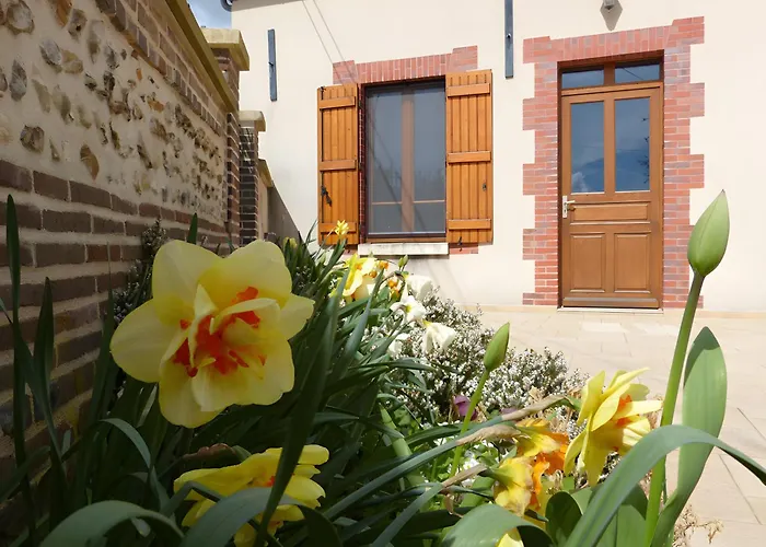 Chambres D'Hotes Les Furets Maraye-en-Othe photo