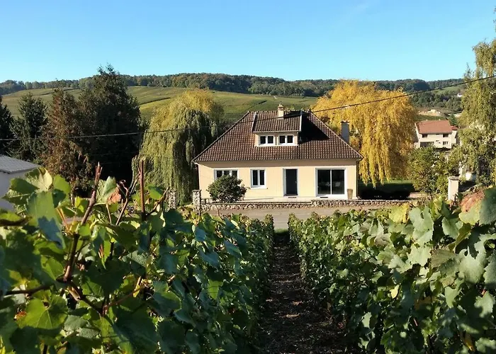 Gite Le Moulin Des Pres Grauves foto